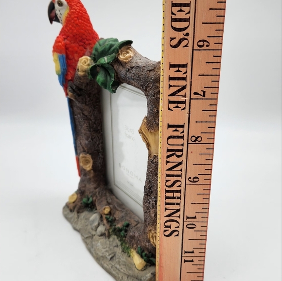 Sonoma Tropical Parrot Picture Frame 4.5x6 outer handpainted stoneware. 3.5 x5 - Picture 8 of 8
